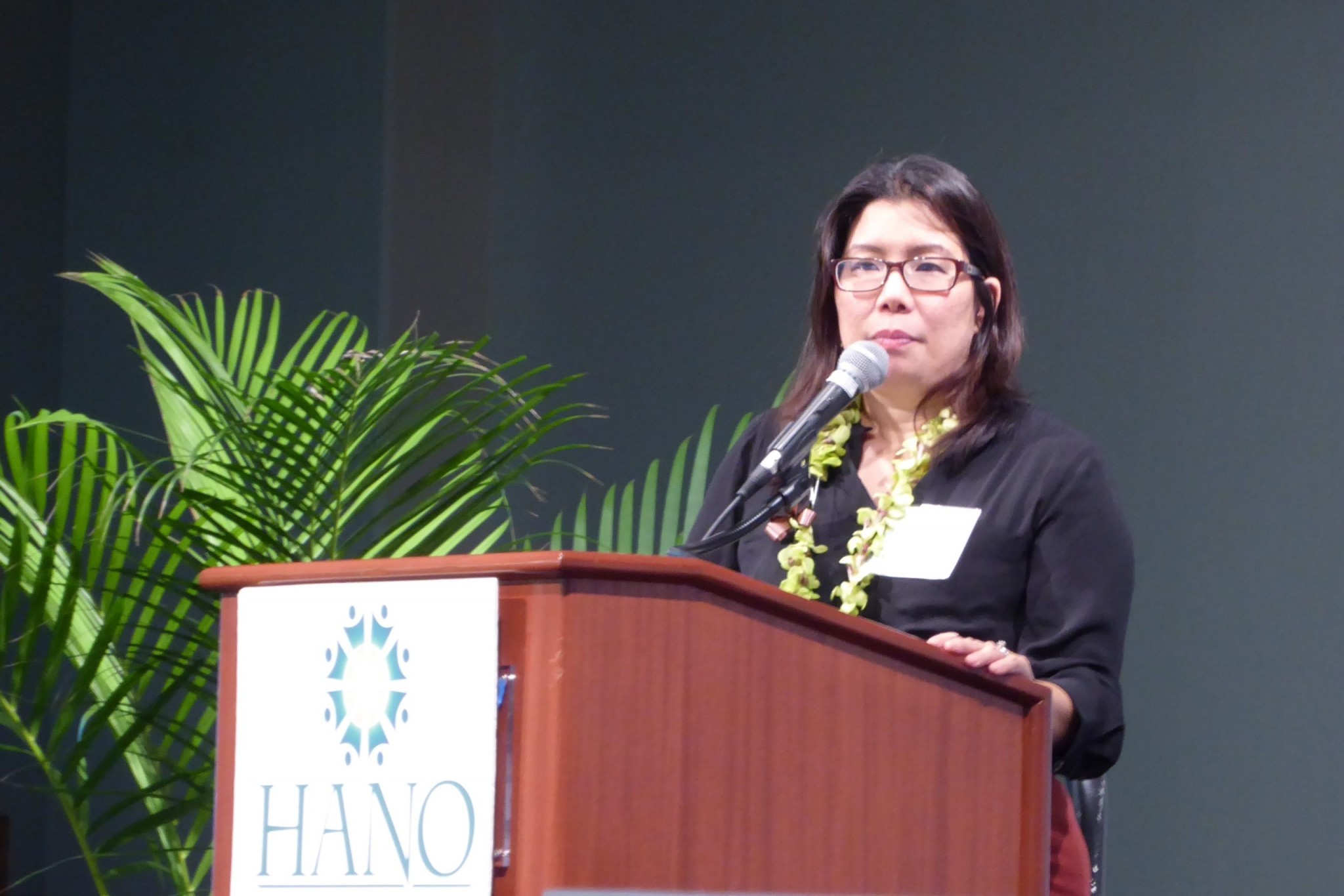 Challenges Facing Nonprofits: Lisa Maruyama, President And CEO, Hawaii ...