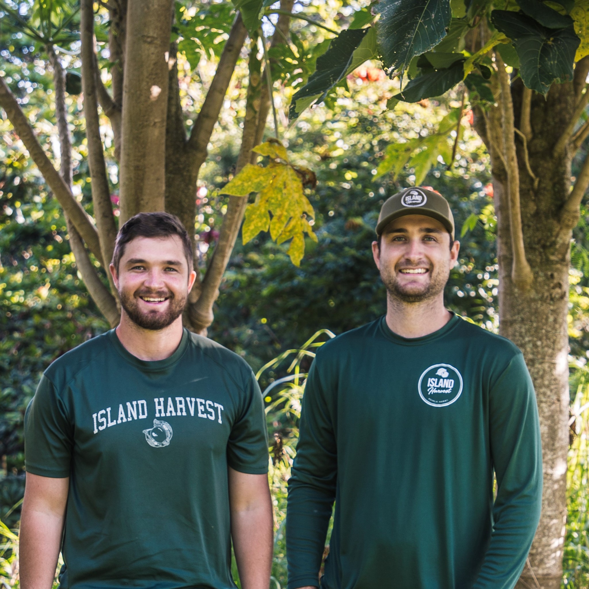 Island Harvest Offers Organic Macadamias from Hawai‘i Hawaii Business