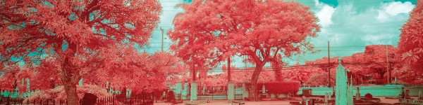 11 21 Thinkingdeath Web Hero