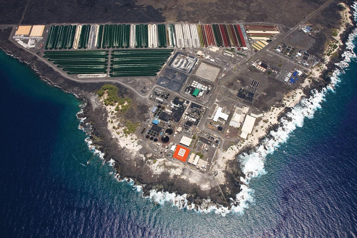 From Kona’s Natural Energy Lab, Hatch Invests in Aquaculture Startups