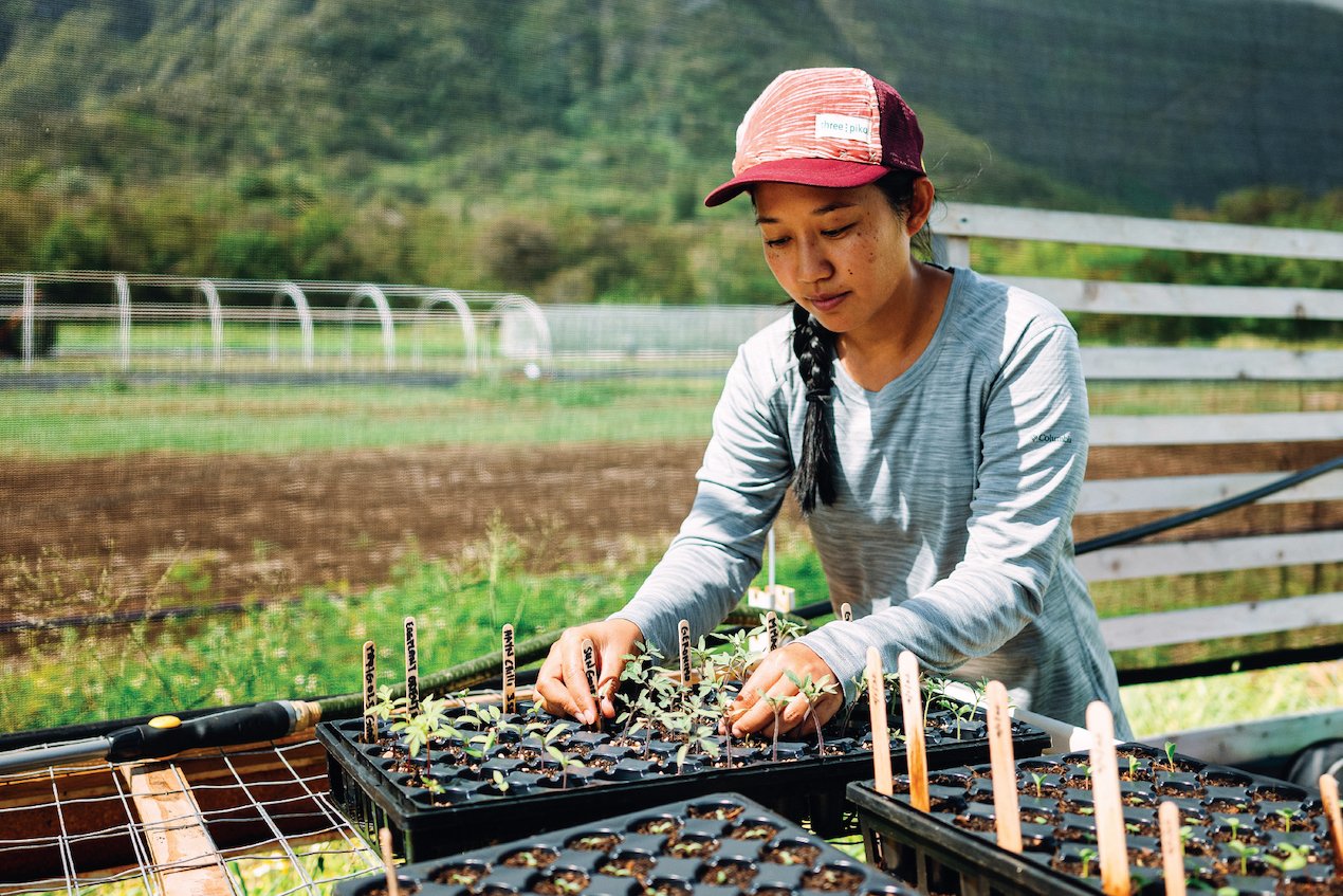 Rachel Fukumoto, shown at her Waimānalo farm, was a member of the Mink Center’s Leadership Alliance and got further training from the center on e-commerce and financing. | Photo: Aaron Yoshiono