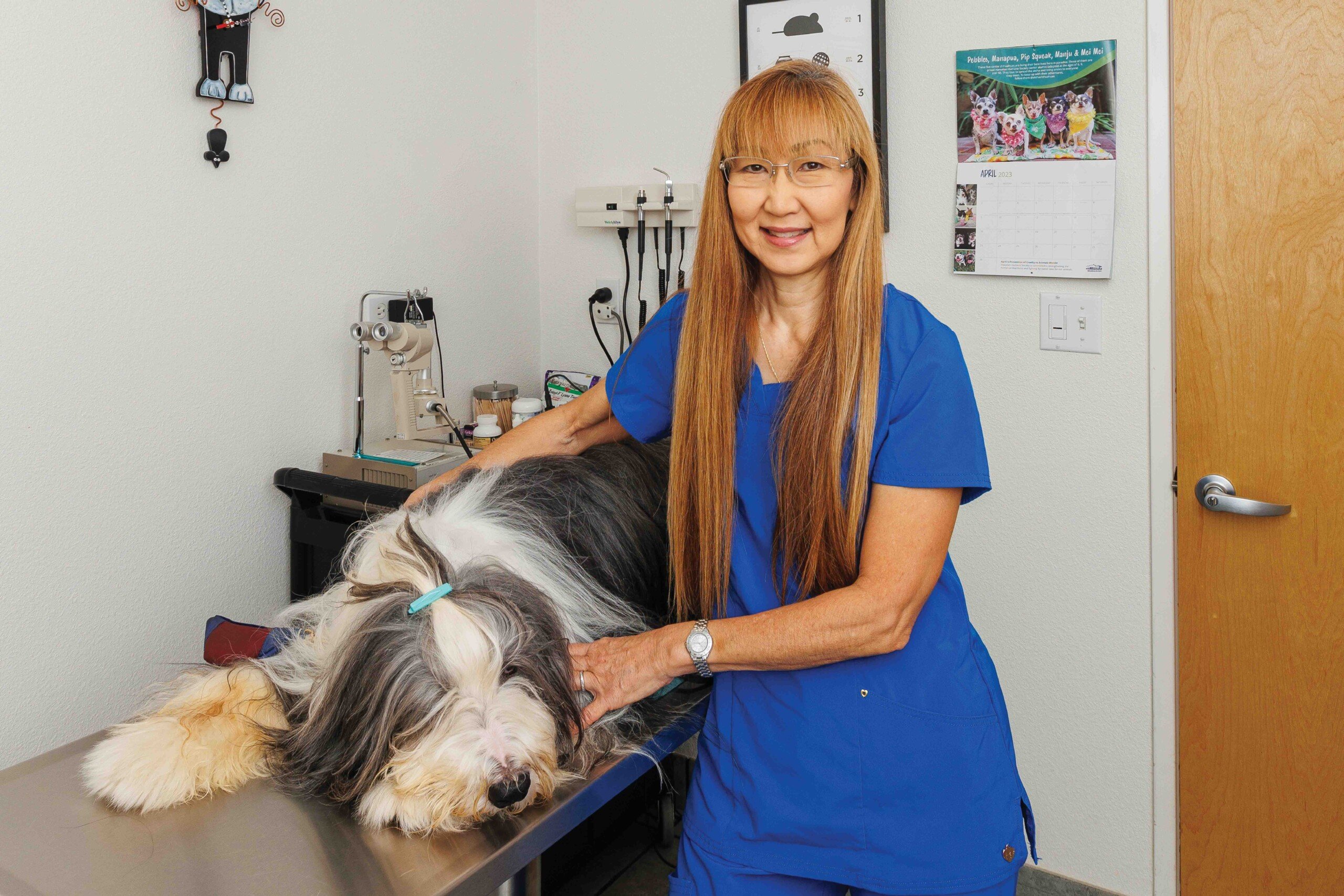 Hawaii Veterinary Vision Care Treats Cats, Dogs, Tigers and Rhinos Hawaii Business Magazine