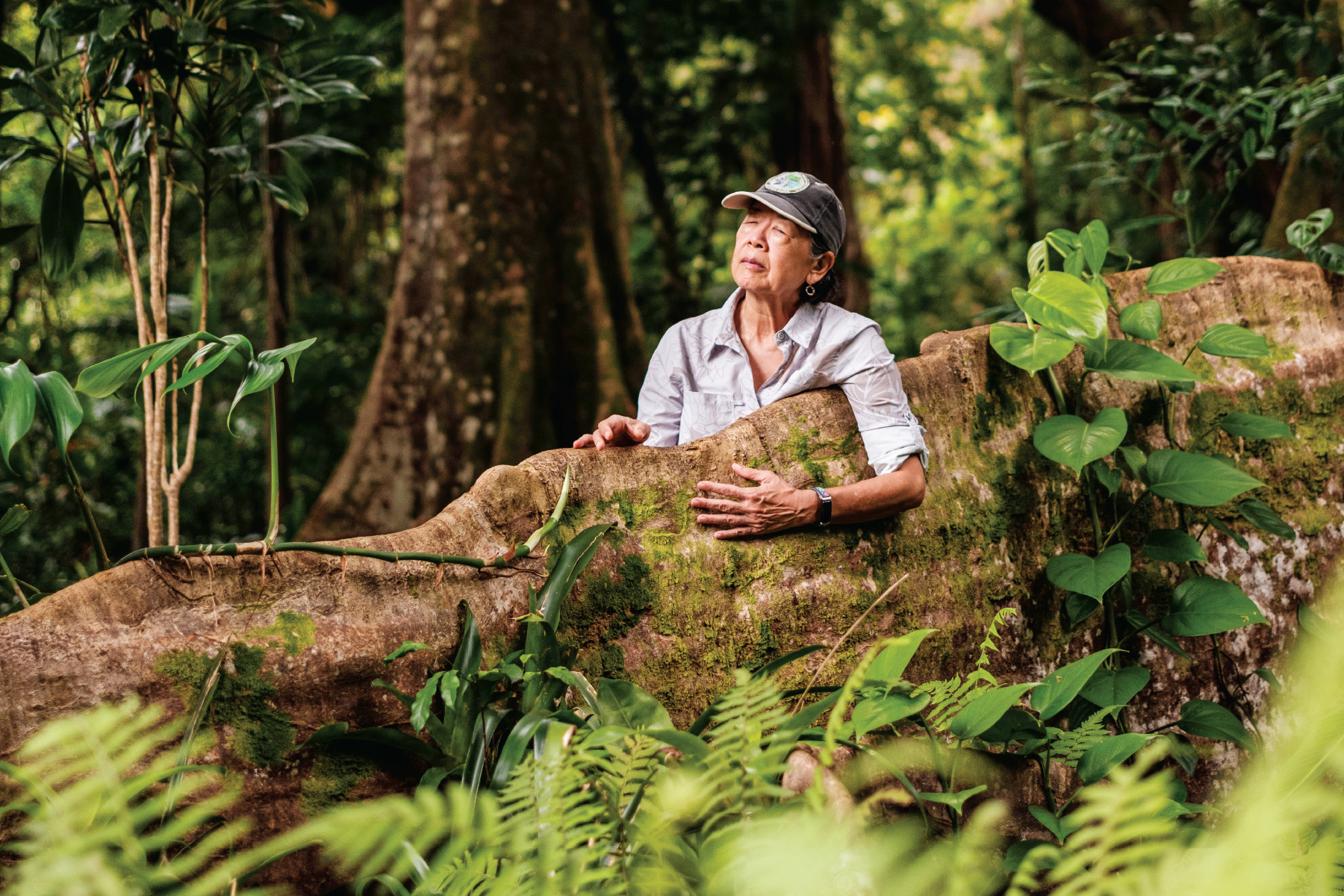 My Job Is Helping People Destress Through Forest Bathing - Hawaii ...