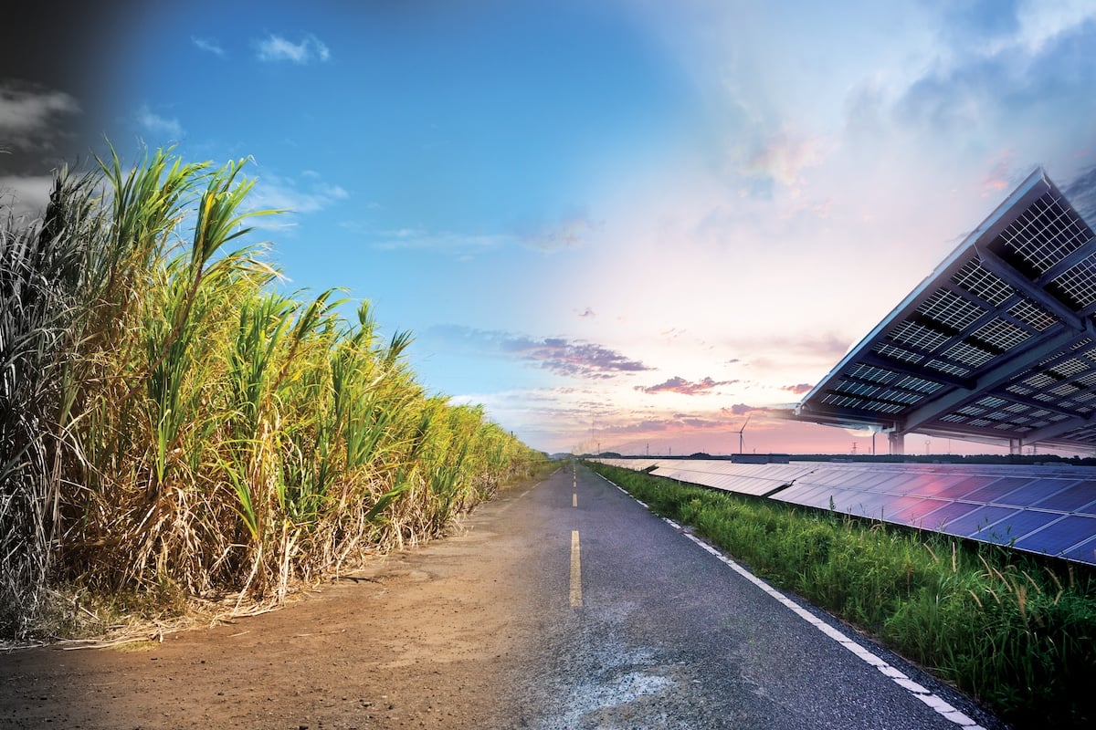 Outdated Classifications Still Guide the Use of Hawai‘i’s Ag Lands