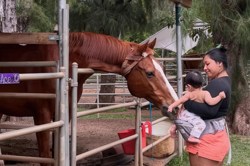 Horse 3 Gigapixel Standard V2 4x
