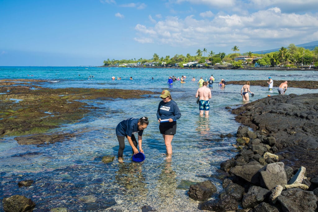Kahalu'u Bay, Kailua Kona, Hawaii Island, Hawaii, Usa