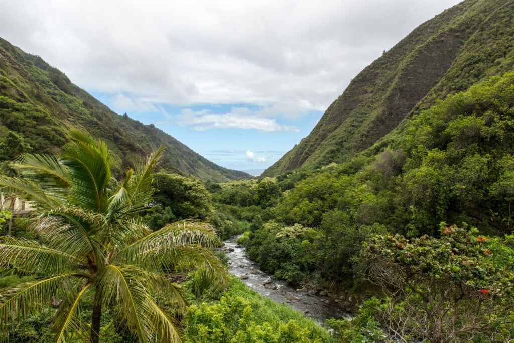 Hero West Maui Advocates Seek To Make Water A Public Resource