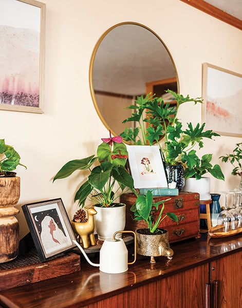 house plants on dresser