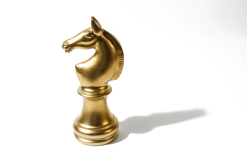 chess horse