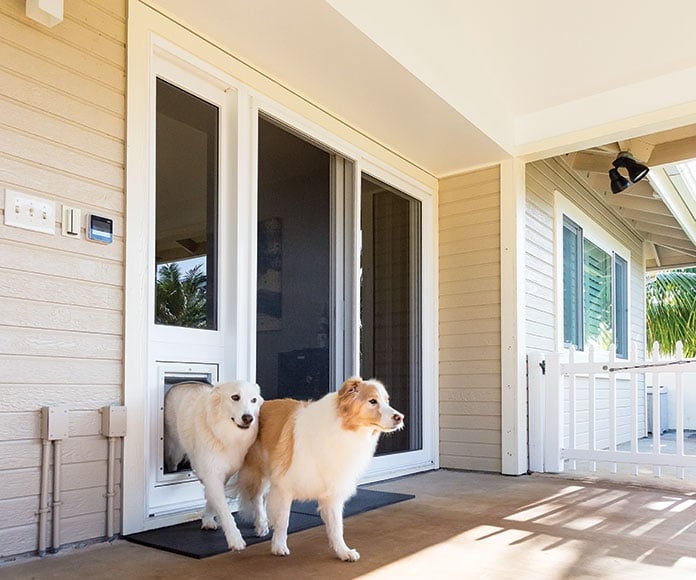 Installation - Sliding Door Dog Door