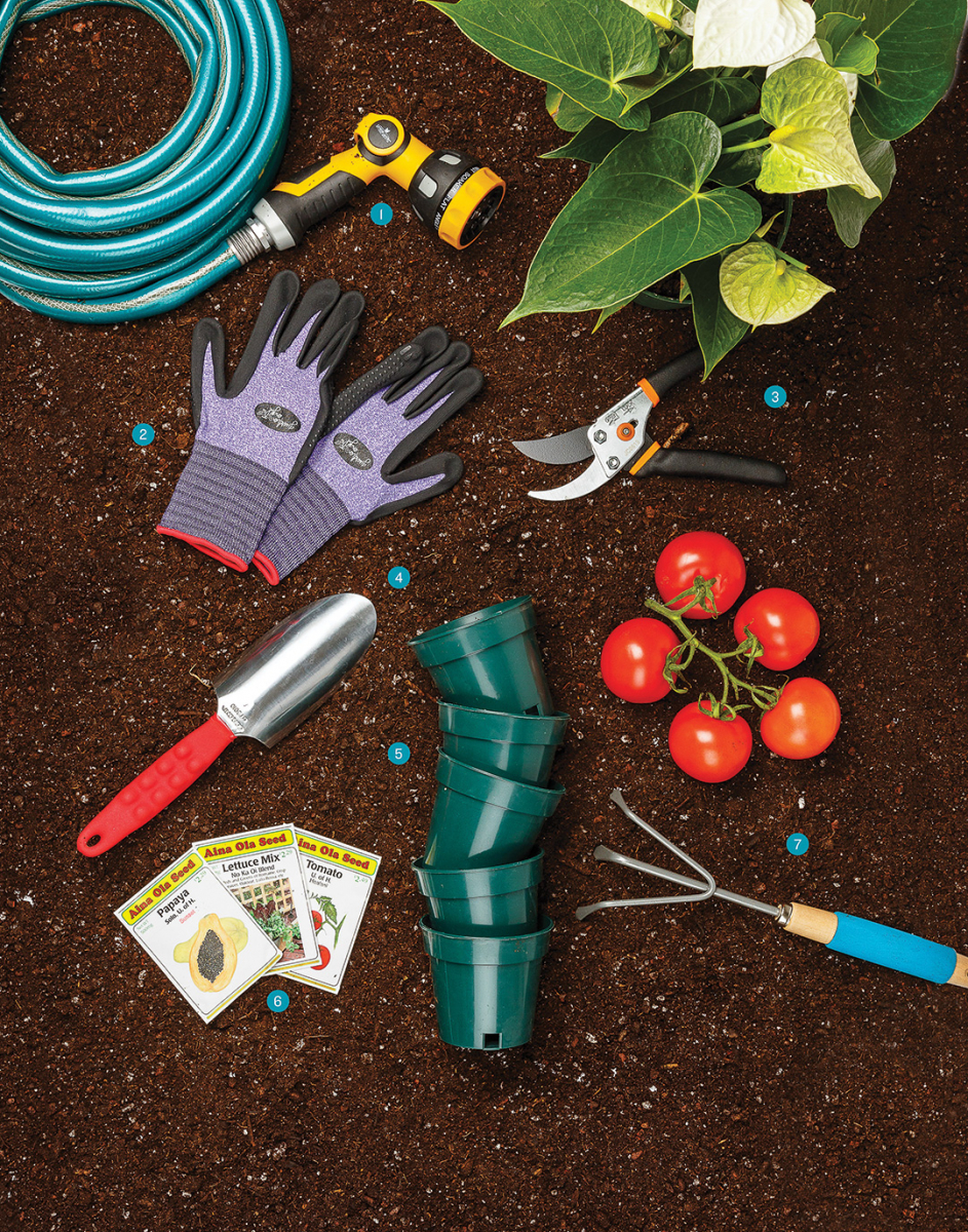 Ideas to Help Get You into Gardening at Home - Hawaii Home + Remodeling