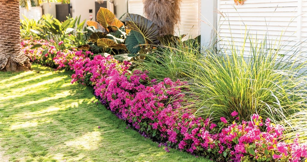 Why You Should Get a New Look for Your Yard - Hawaii Home + Remodeling