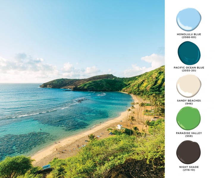 Use This Island-Inspired Palette in Your Home - Hawaii Home + Remodeling