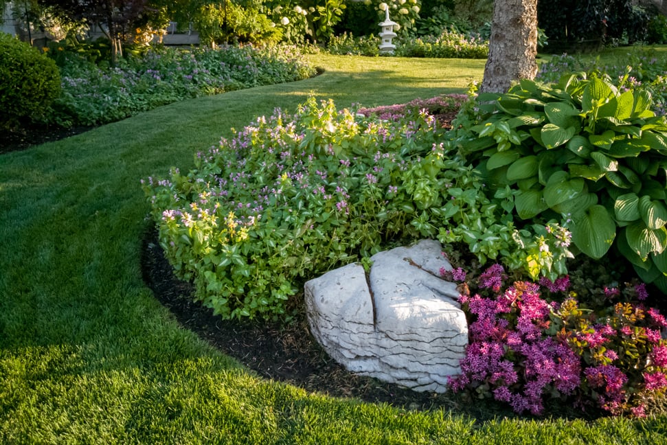 landscaping-gardening-garden-flowers-leaves-planting-plants-rocks-foundations-first-hawaiian-bank-home-outside