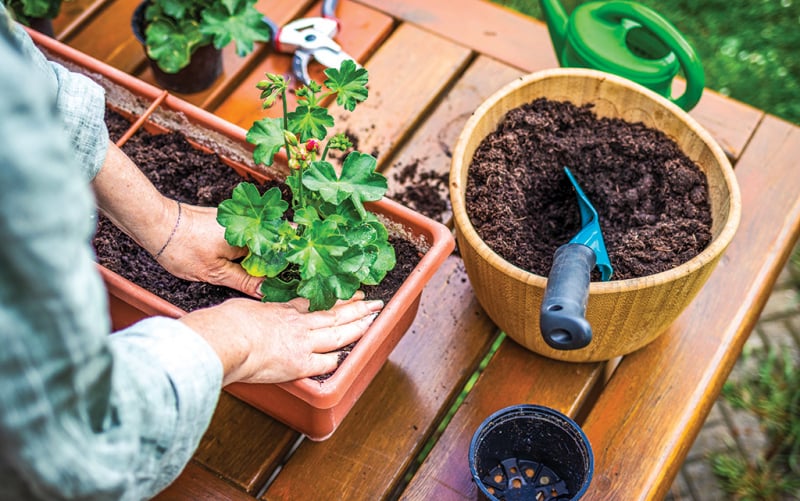 How Gardening at Home Helps the Environment