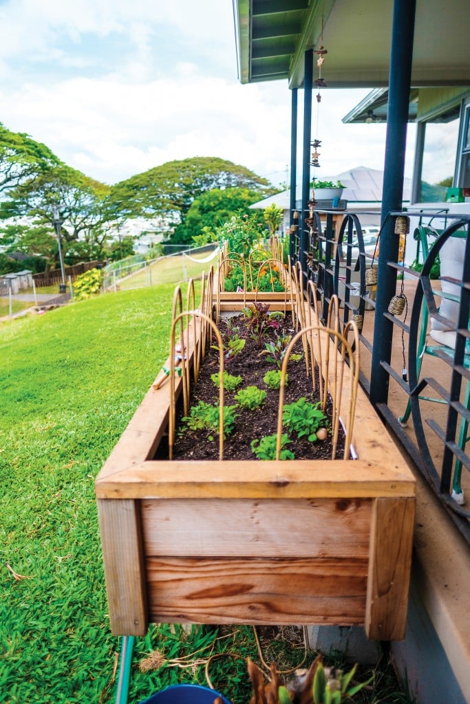 Ideas to Help Get You into Gardening at Home - Hawaii Home + Remodeling