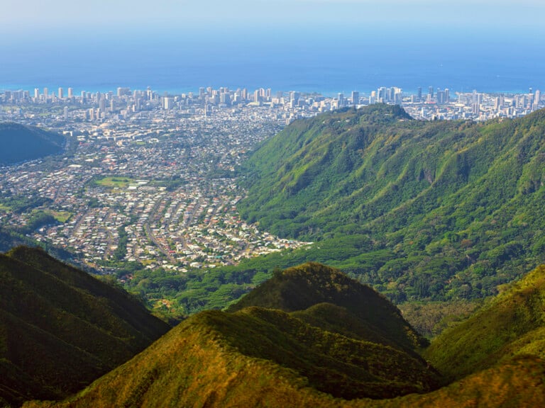 5 Things to Know about Living in Manoa - Hawaii Home + Remodeling