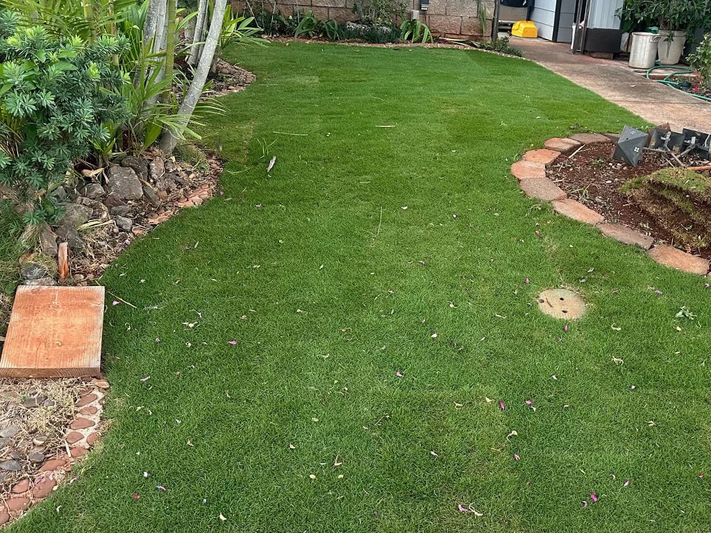 The Benefits of Laying Down Lawn - Hawaii Home + Remodeling