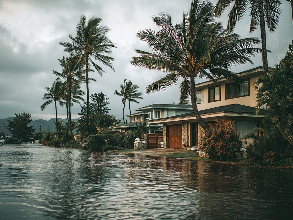 Hawaii Disaster Preparation Resources