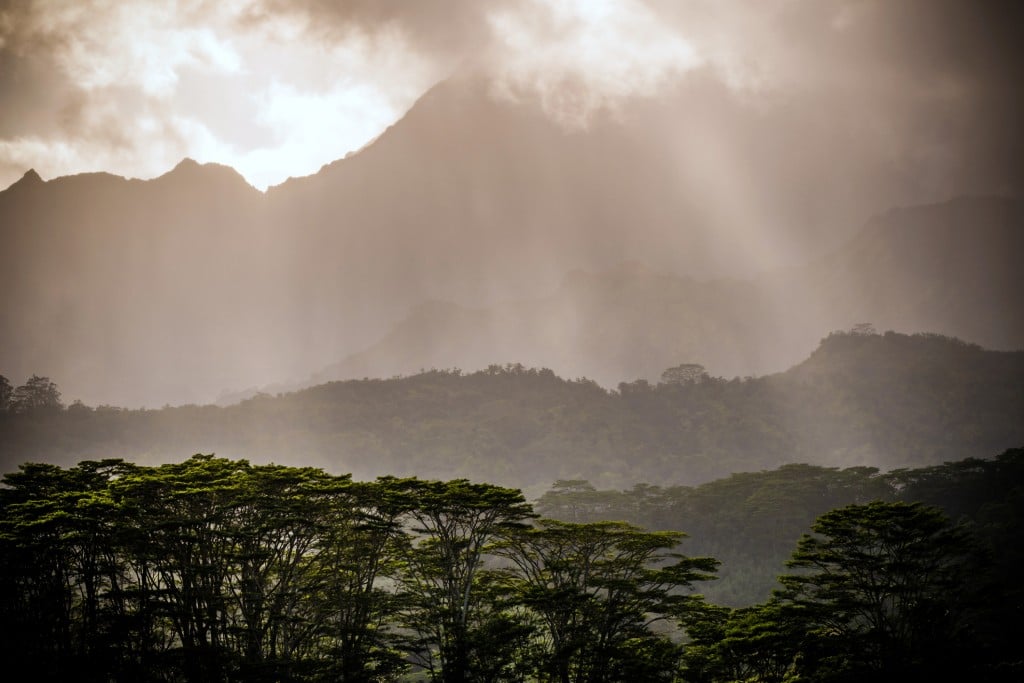 View Of Lush Green Mount Waialeale Shrouded In Mist, The Wettest Spot On Earth