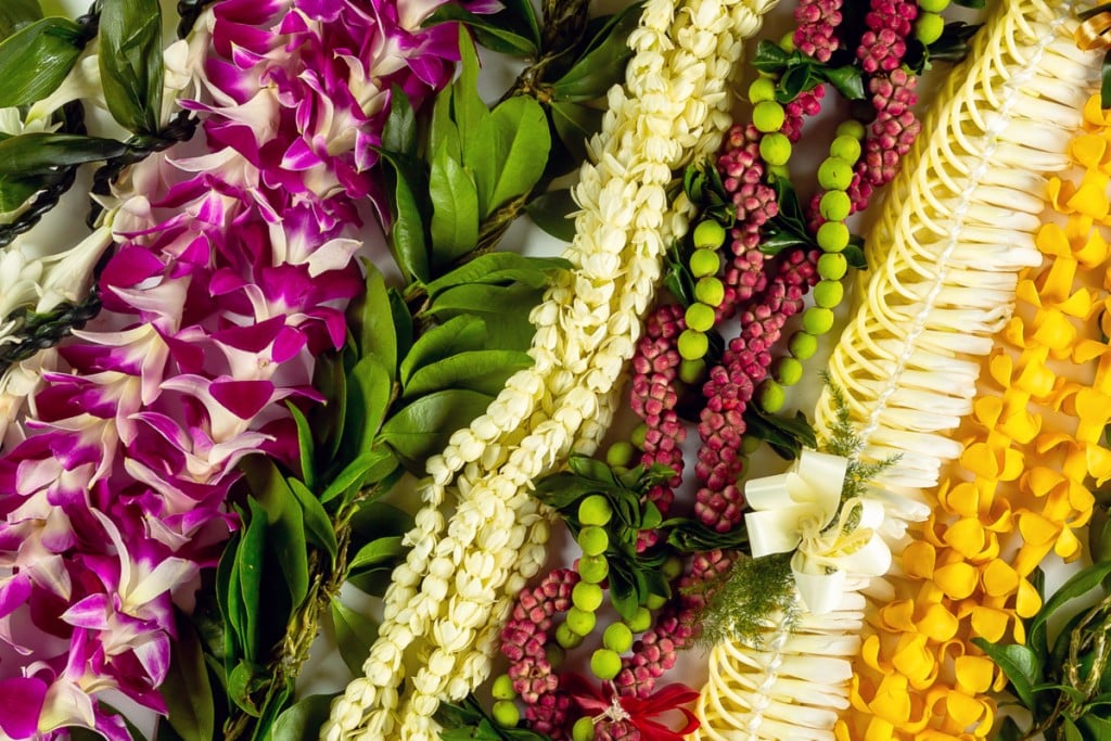 Lei de flores de Hawái