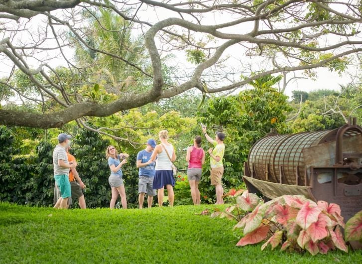 The 5 Best Farm Tours On HawaiÊ»i Island Hawaii Magazine