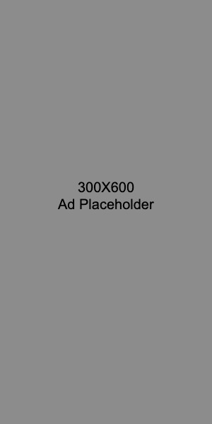 300x600 Ad Placeholder