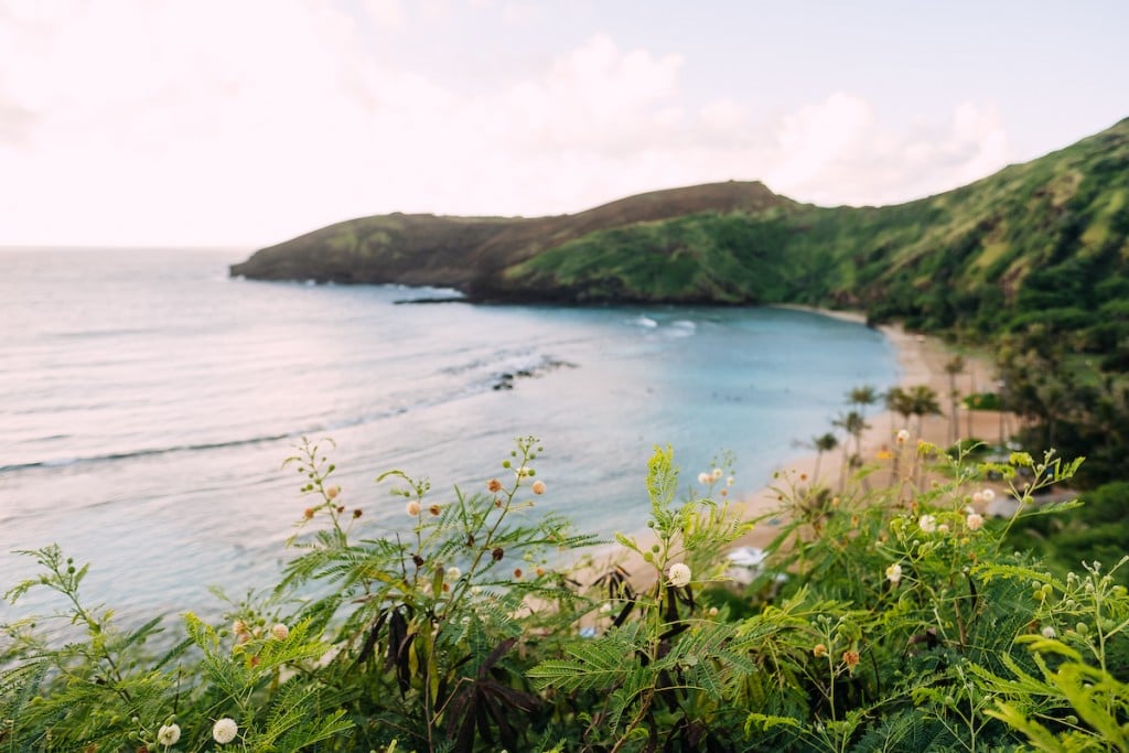 AY1810 Makapuu Scenic 1889