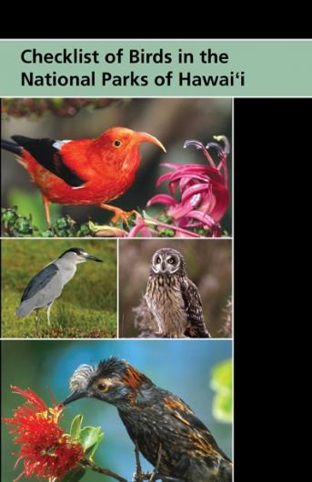 Bird List Cover 72 dpi
