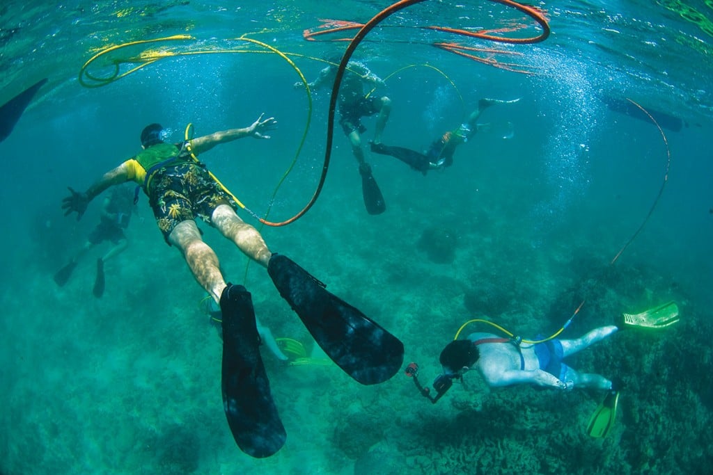 Kauai Scuba Diving: Everything You Need to Know - Uprooted Traveler