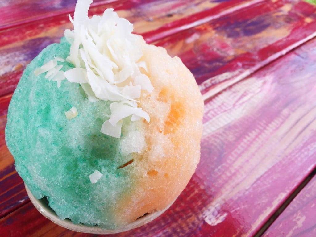 Ice Molds – Hawaiian Shaved Ice