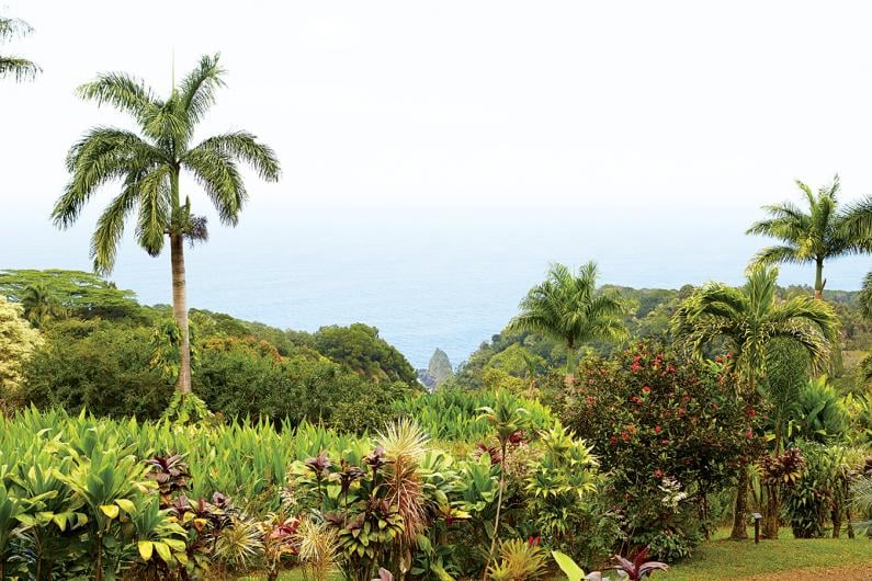 road to hana botanical gardens