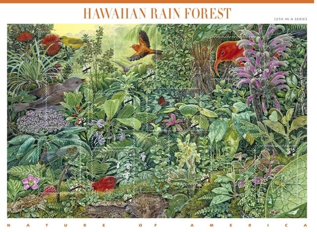 HawaiianRainForest