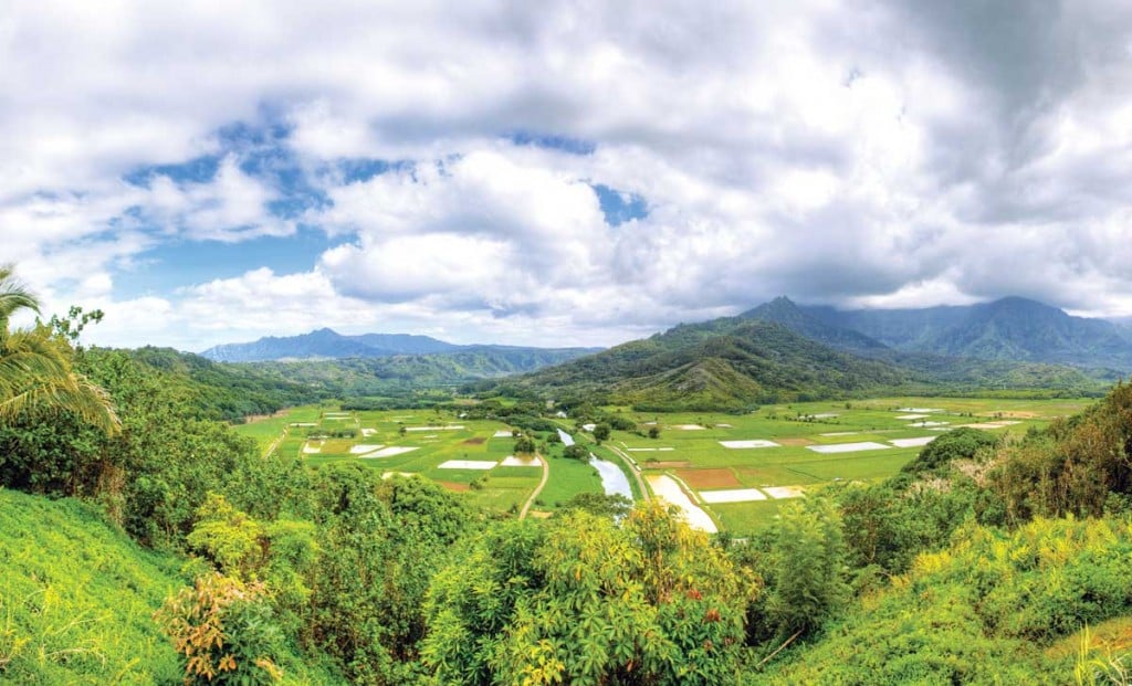 Boutique Shopping, Culture, & Dining in Lawai Valley