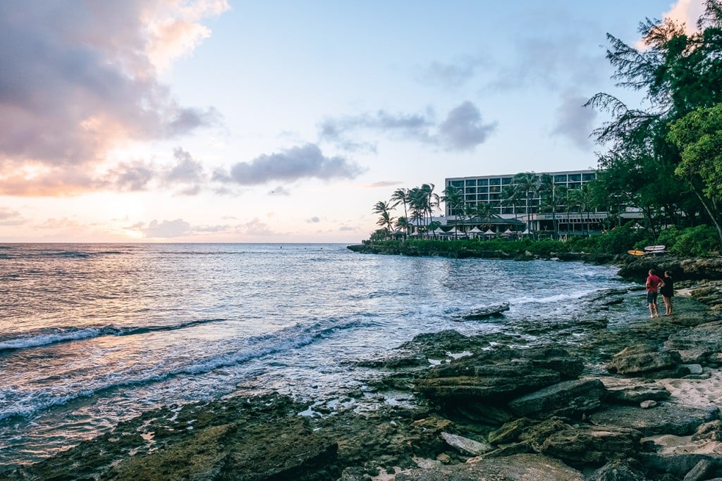 turtle bay resort