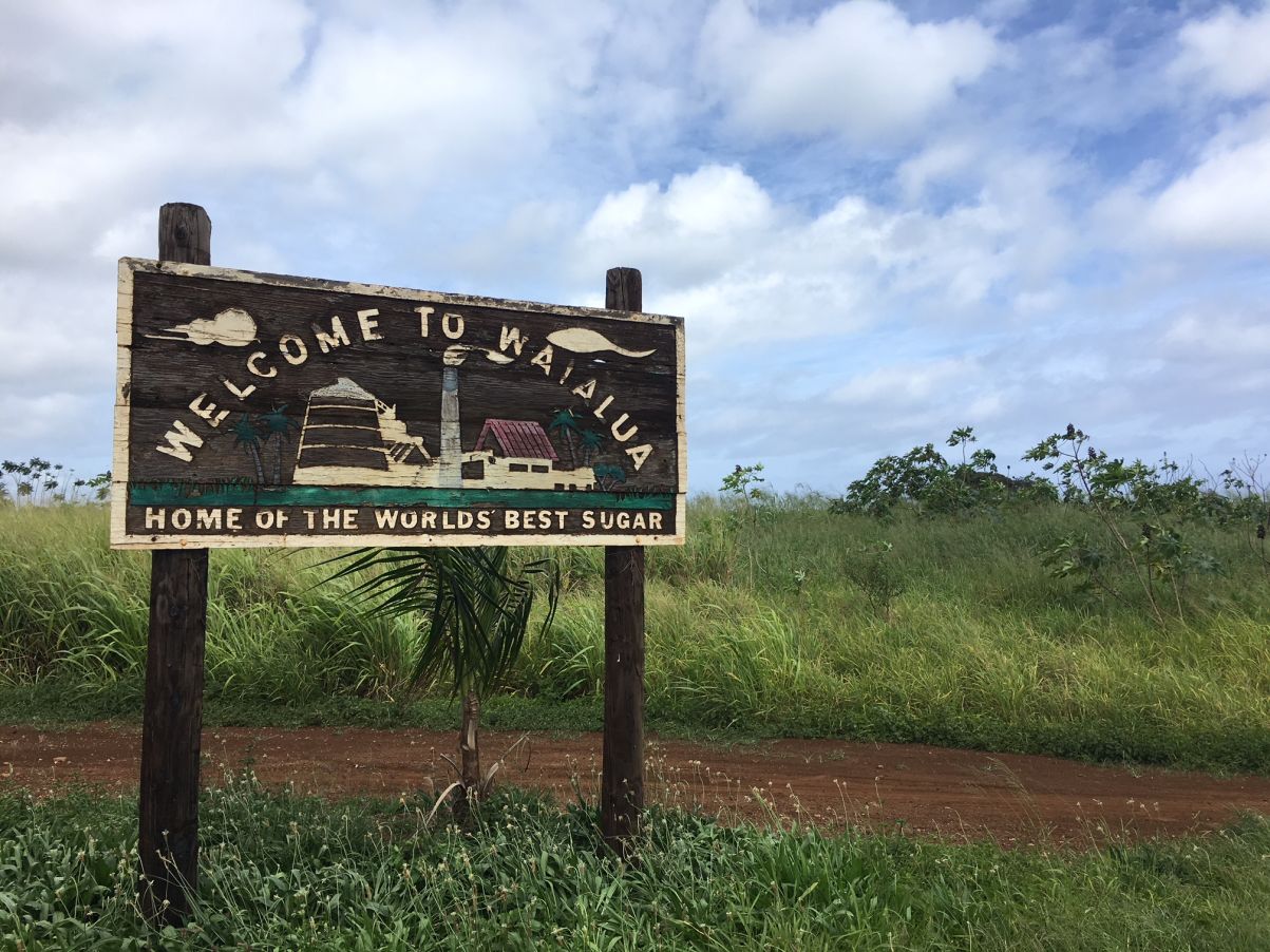 THE BEST 10 Hot Dogs near NORTH SHORE, WAIALUA, HI - Last Updated