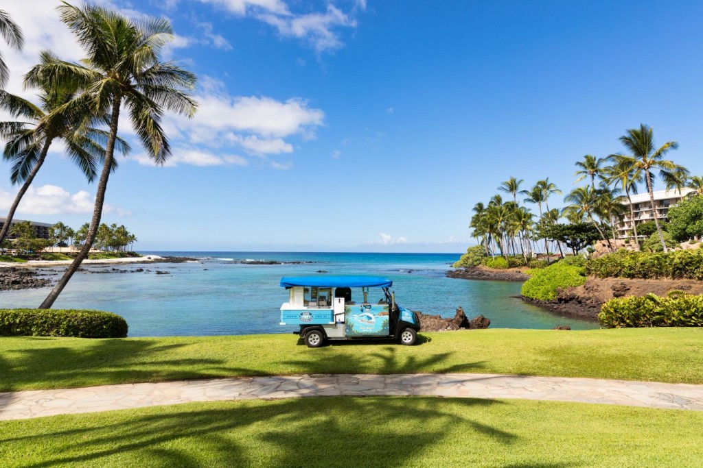 Kohala Beverage Cart 1