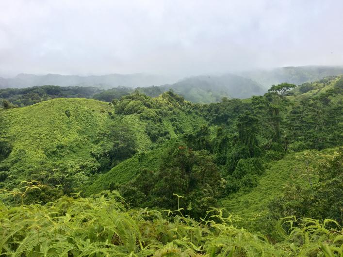 kuilau trail