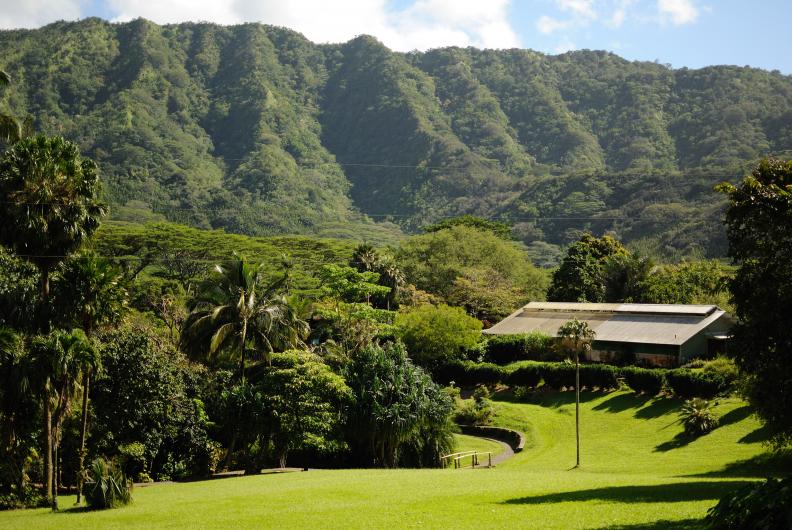 Lyon Arboretum Oahu