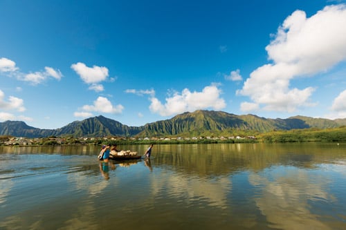 Go Fish!: The restoration of Oahu's Paepae o Heeia Hawaiian Fishpond -  Hawaii Magazine