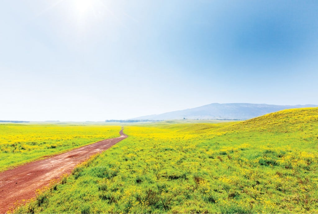 The brilliant beauty of Mauna Kea s little traveled Mana Road