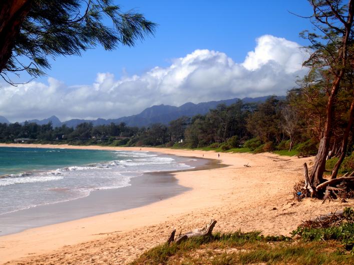 View of Malaekahana Beach from one of the campground's beach access points. Photo: Bianca Sewake