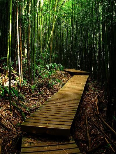 Best of Hawaii” 2010: Our readers' favorite Hawaii hiking trails