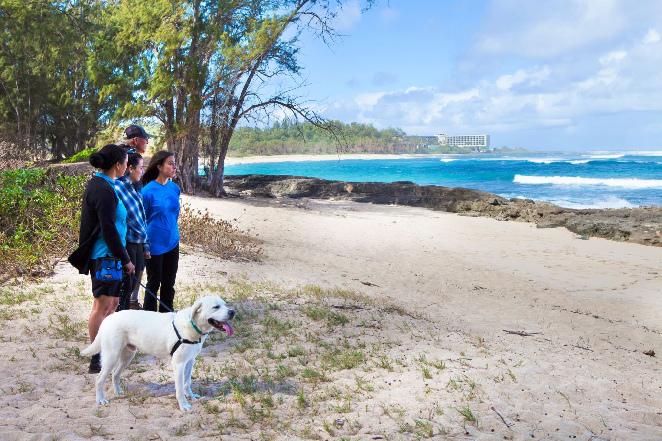 Dog Days with Pono at Turtle Bay Resort - Hawaii Magazine