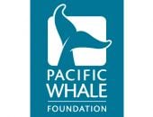 Pacific Whale Foundation