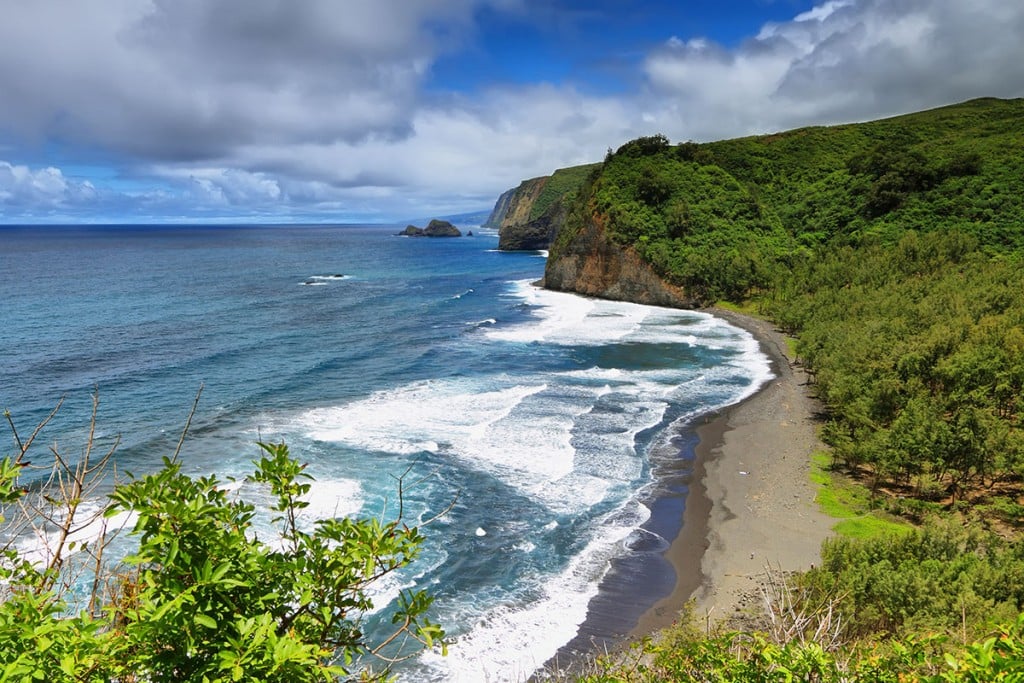 pololu