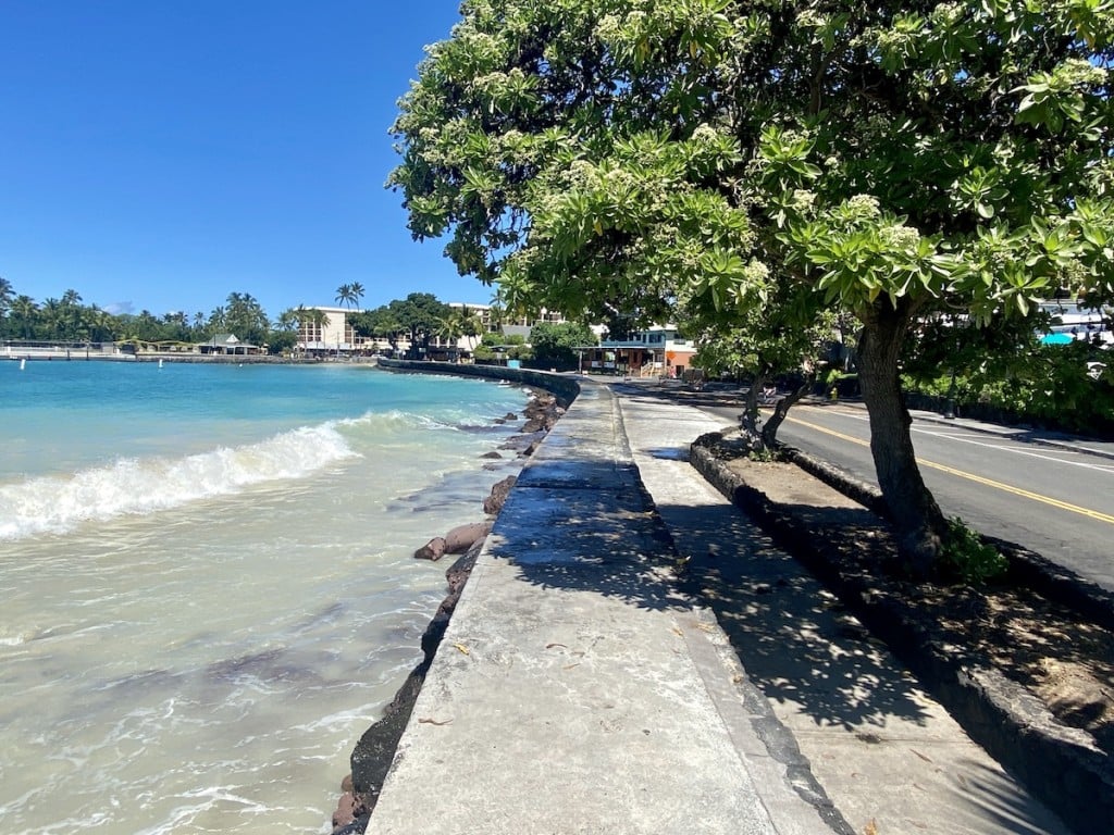 Quiet but Scenic Stroll Down Alii Drive_Photo Laura Dornbush