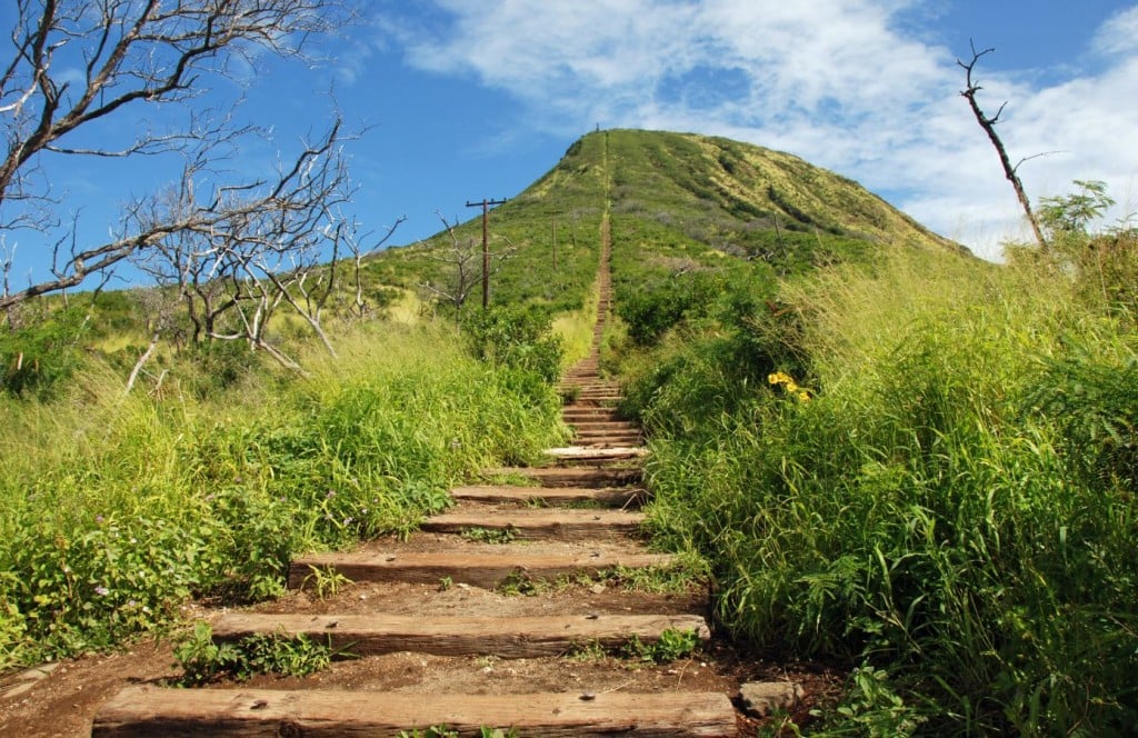 20 Thoughts Every Hiker has had on the Trail Up Koko Head Crater ...