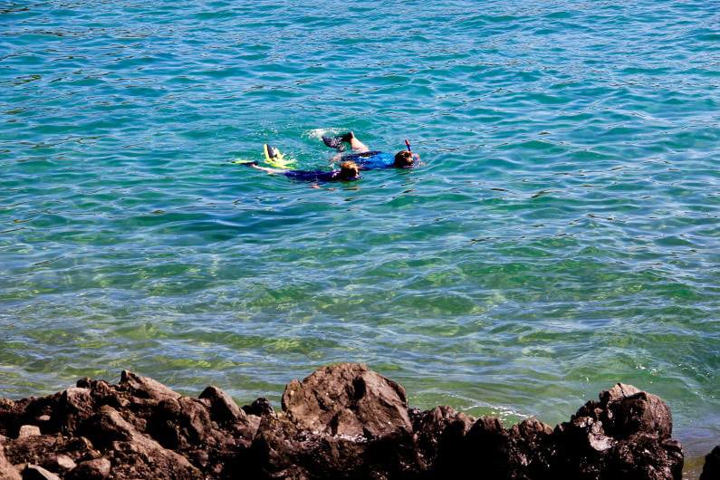 Maui's Turtle Town is the Island's Best-Kept Snorkeling Secret - Hawaii ...