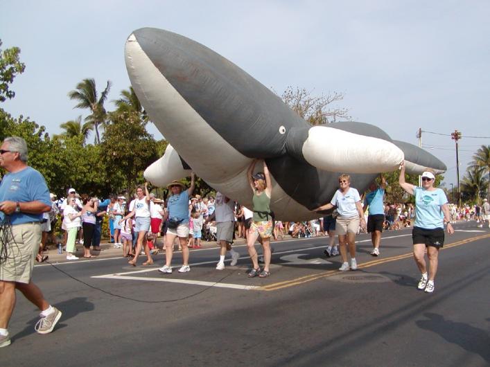 Whale parade